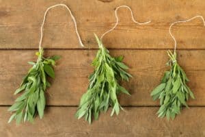 Preserving herbs by air drying is an easy and effective way to store herbs for long periods