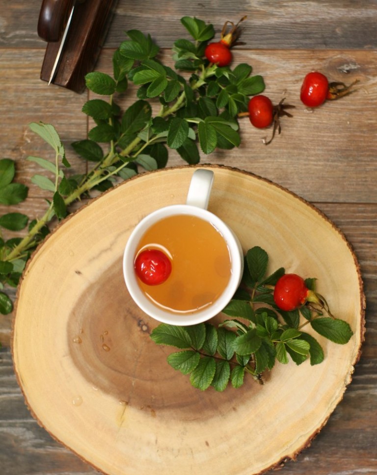 Wild Rose Hip Tea - Earth, Food, and Fire