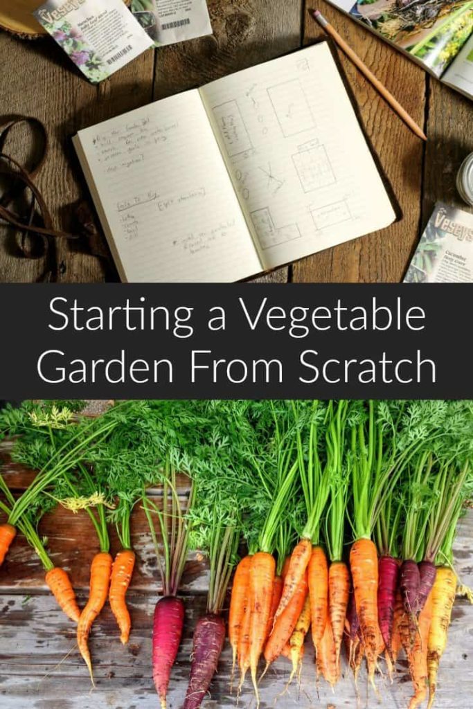 How To Start A Vegetable Garden From Scratch - Earth, Food, And Fire