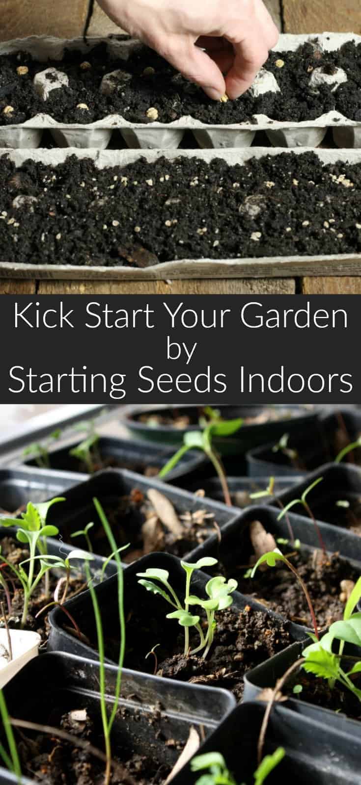 Kick Start Your Garden By Starting Seeds Indoors | Earth, Food, and Fire