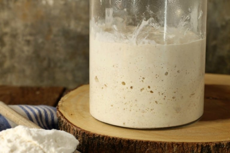 how-to-make-sourdough-starter-from-scratch-earth-food-and-fire