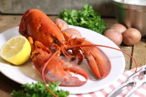 A freshly cooked lobster on a white platter. Learn how to cook lobster at home!