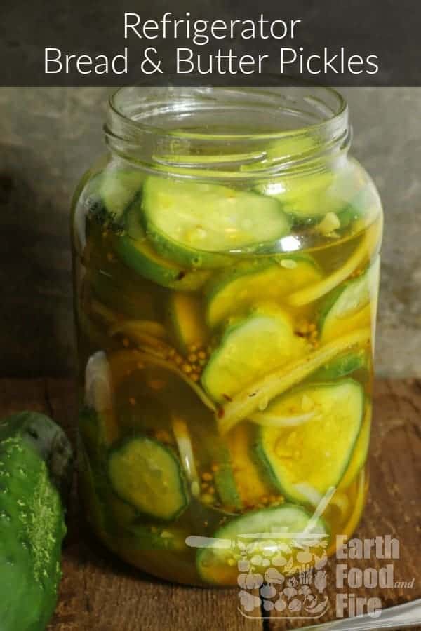 Refrigerator Bread and Butter Pickles - Earth, Food, and Fire