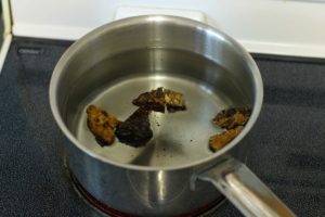 how to make chaga tea: chunks of chaga in a pot of water about to be simmered