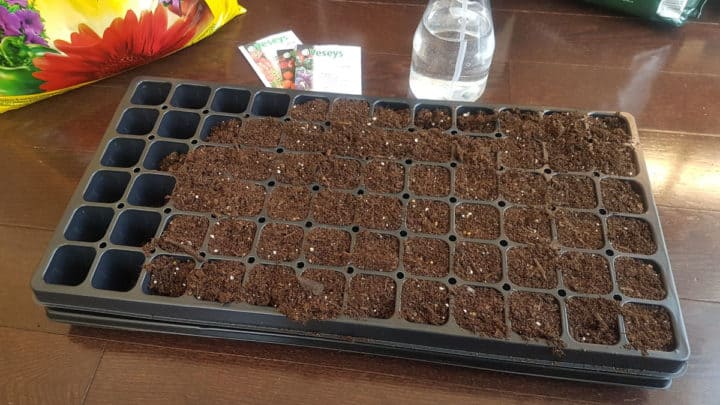 The Best Seed Starting Trays For Beginner Gardeners - Earth, Food, And Fire