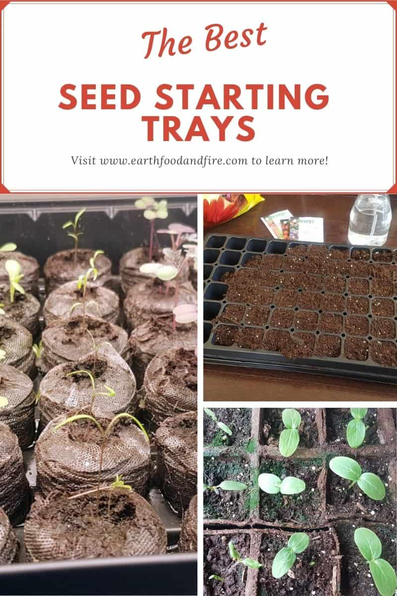 The Best Seed Starting Trays For Beginner Gardeners - Earth, Food, and Fire