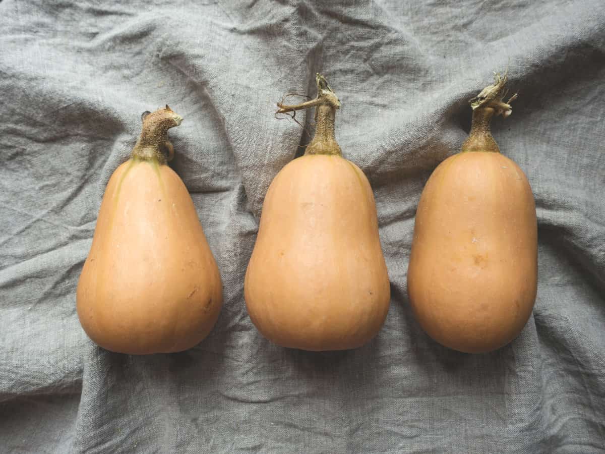 Selecting and Prepping Butternut Squash