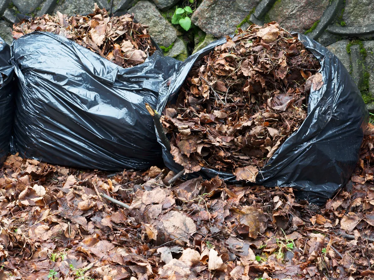 Leaves for mulching