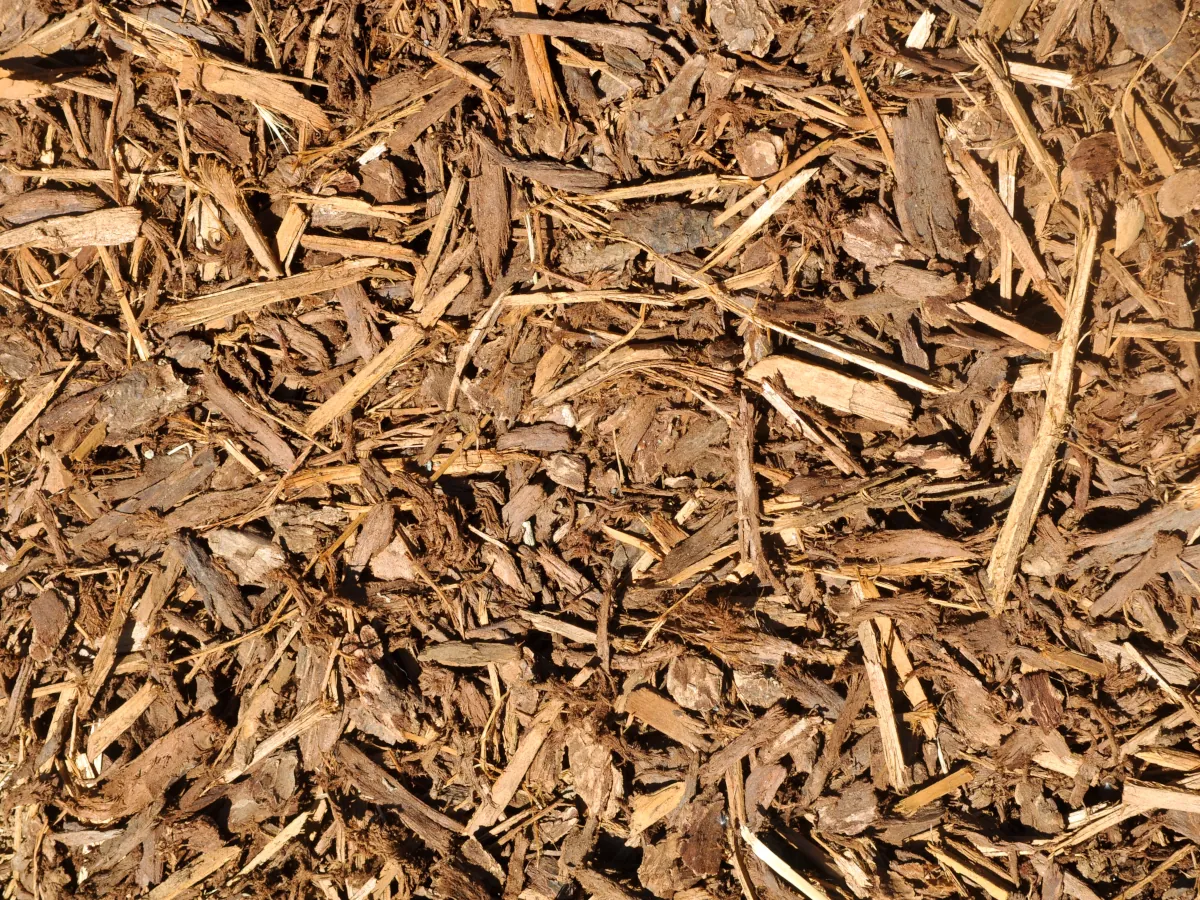 Natural mulch - what is mulch?