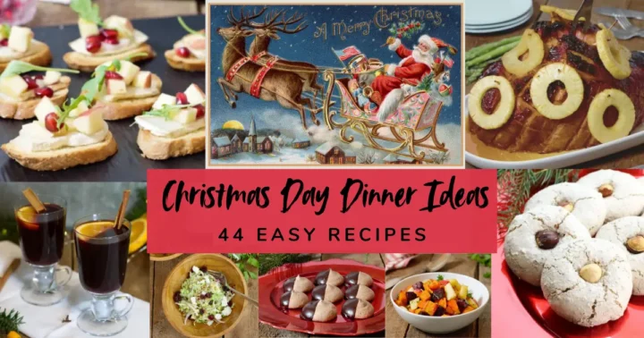 Christmas Day dinner ideas - 44 easy and delicious recipes from appetizers, mains, side dishes and salads to desserts and cookies