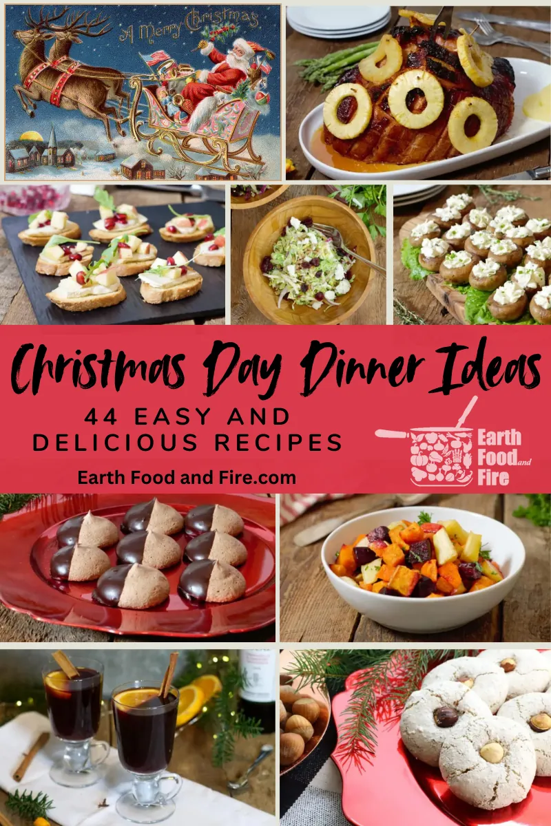 Christmas Day dinner ideas - 44 easy and delicious recipes from appetizers, mains, side dishes and salads to desserts and cookies