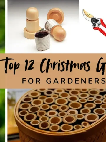 Christmas gifts for gardeners