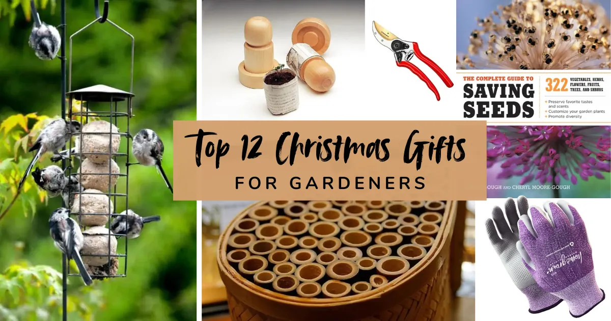 Christmas gifts for gardeners