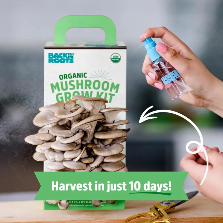 Mushroom grow kit