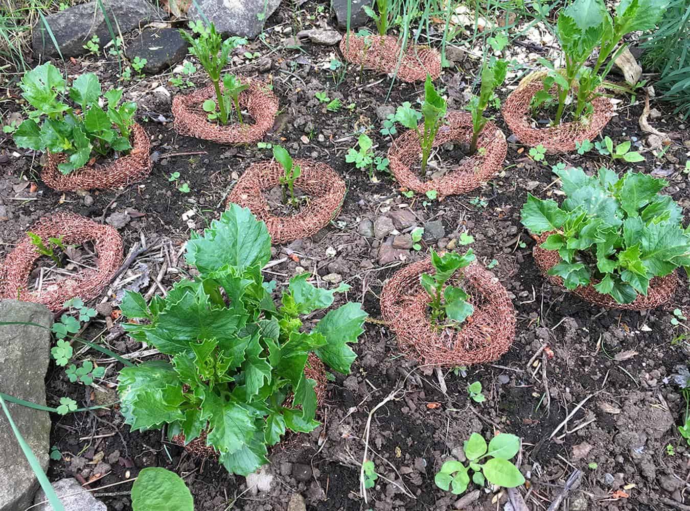 Knitted Copper Mesh for Wildlife Control